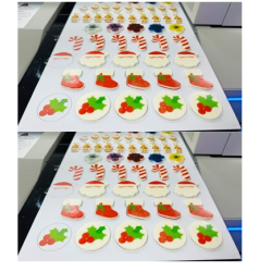 Impressora Aifos A3 - 3.0 Single Head (Impressão directa)