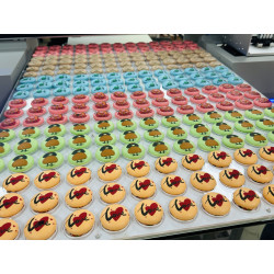 Impressora Aifos A2 - 1.0 Single Head -  (Impressão directa)