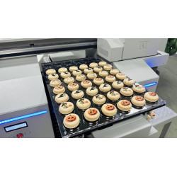 Impressora Aifos A4 - 1.0 Single Head -  (Impressão directa)