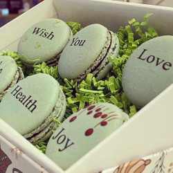 Impressora Aifos A1 - 1.0 Single Head -  (Impressão directa)