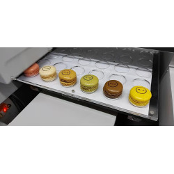 Impressora Aifos A1 - 1.0 Single Head -  (Impressão directa)